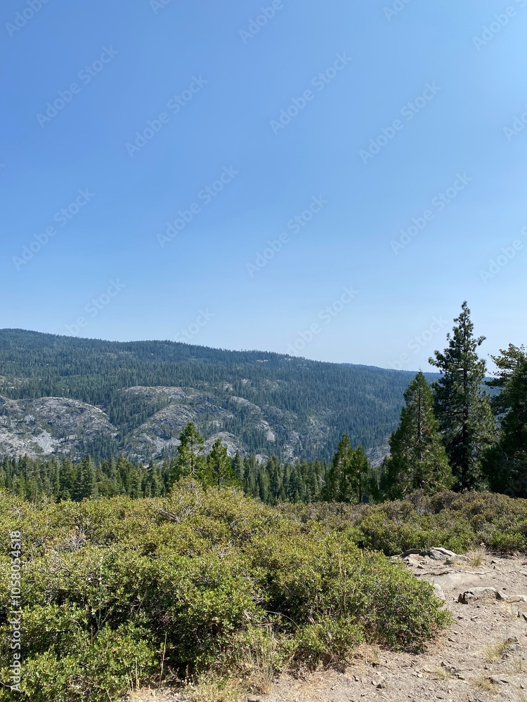 A breathtaking mountain vista with green forests and open skies, ideal for outdoor exploration