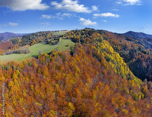 Obraz na płótnie Colorful autumn forests in the mountains - Silesian or Tesin Beskydy, northeastern Czech Republic, Moravia w salonie