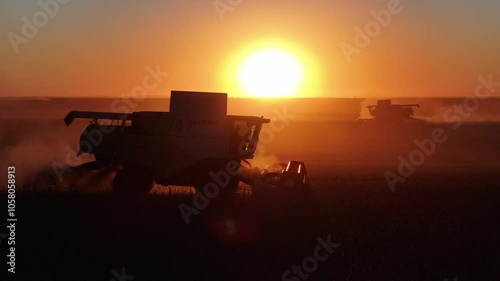 Beautiful 4K aerial and side-view footage of two combine harvesters working in a golden field at sunrise and sunset. The machines move toward each other, cutting through the crops in perfect symmetry.