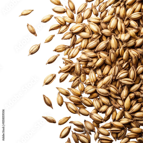 Close-up of grains on a black background. photo