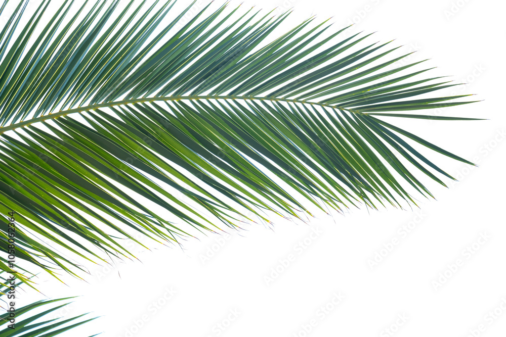 vibrant green palm leaf captures essence of tropical getaways and relaxation, Symbol of paradise, natural beauty vibrant green palm leaf captures essence of tropical getaways and relaxation, Symbol of paradise, natural beauty