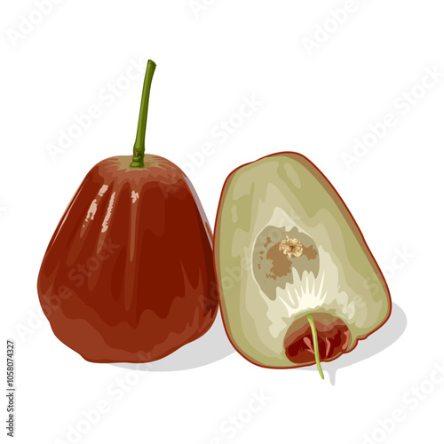 Illustration of a whole and half rose apple, isolated on white background.