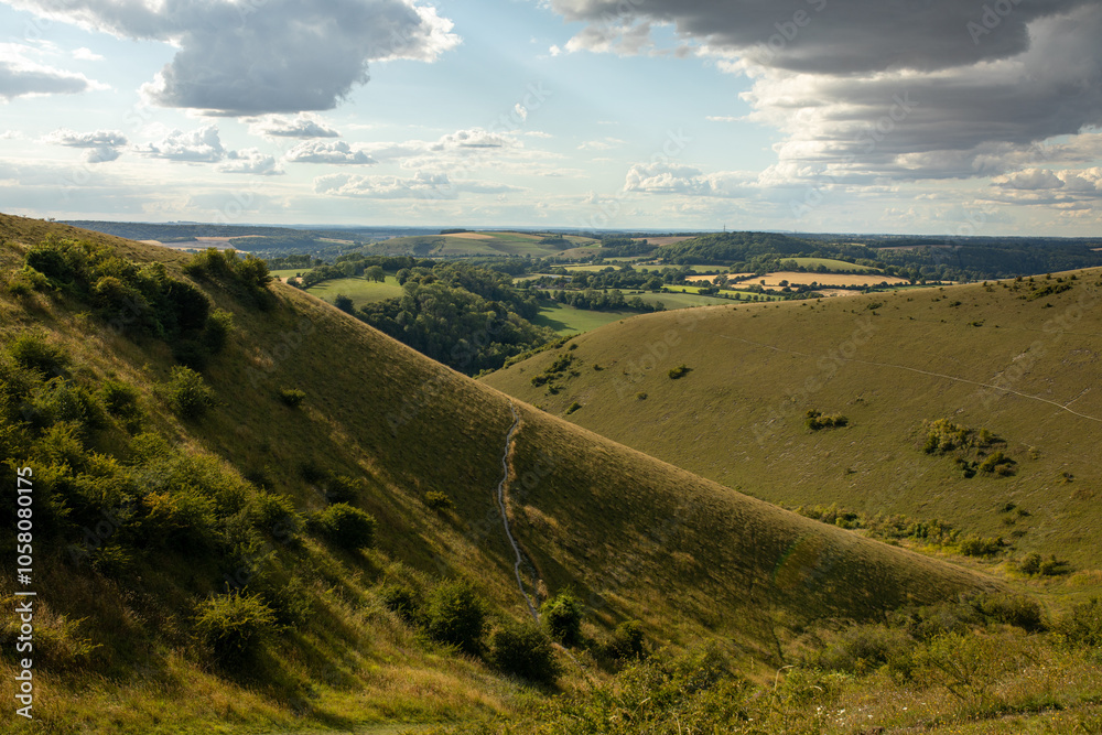 Fototapeta premium Butser Hill Sothdowns Hampshire
