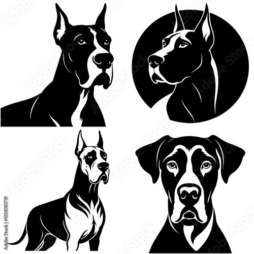 dog, animal, black, vector, pet, silhouette, illustration, isolated,doberman great done  photo