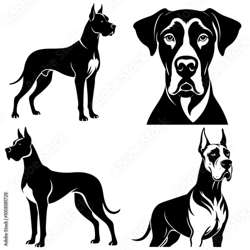 dog, animal, black, vector, pet, silhouette, illustration, isolated,doberman great done 