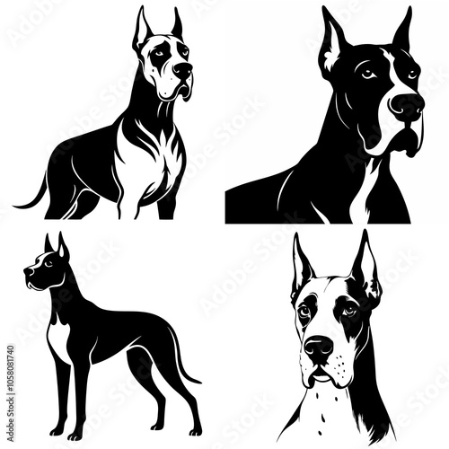 dog, animal, black, vector, pet, silhouette, illustration, isolated,doberman great done 