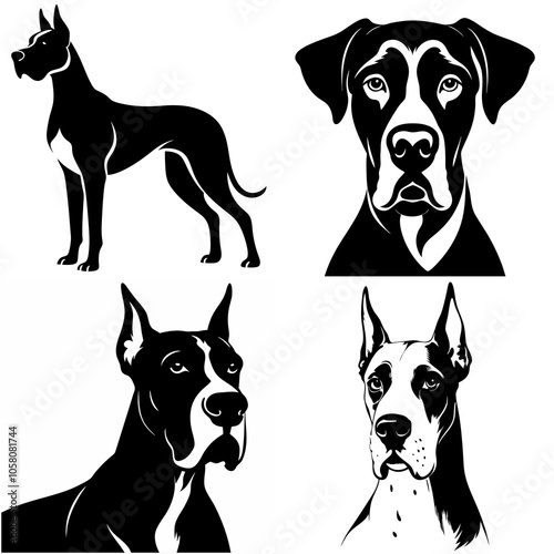 dog, animal, black, vector, pet, silhouette, illustration, isolated,doberman great done 