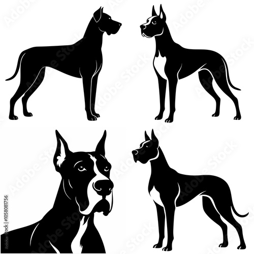 dog, animal, black, vector, pet, silhouette, illustration, isolated,doberman great done 