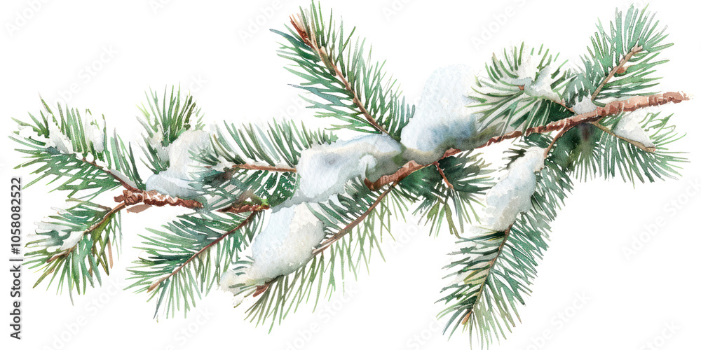 PNG Pine branches snow illustration watercolor. PNG Pine branches snow illustration watercolor.
