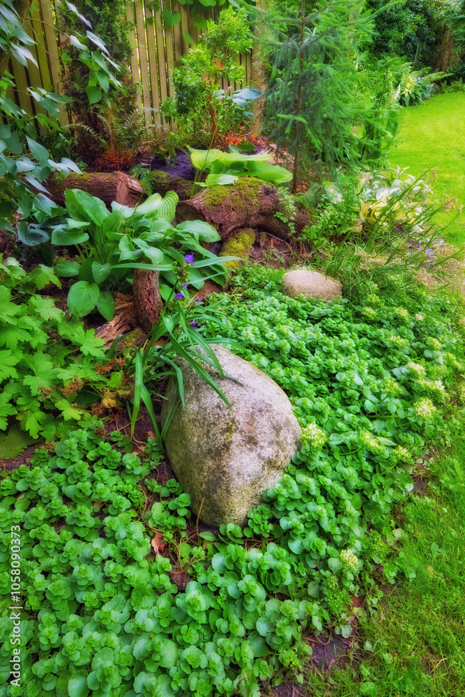 Obraz premium Nature, growth and peace with rock in garden for environment, sustainability and spring season. Grass ecology, meadow and biology with plants in countryside for botanical, bloom and ecosystem