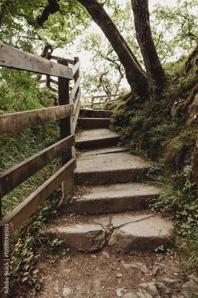 wooden bridge in the forest Lake District UK wooden bridge in the forest Lake District UK