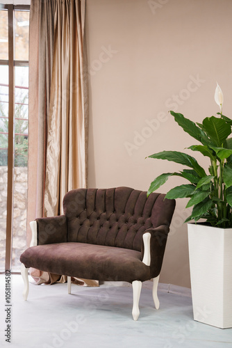Fotografija Elegant Vintage Sofa with Indoor Plant in a Serene Living Space
