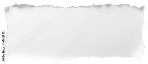 PNG White paper tear white background texture. photo