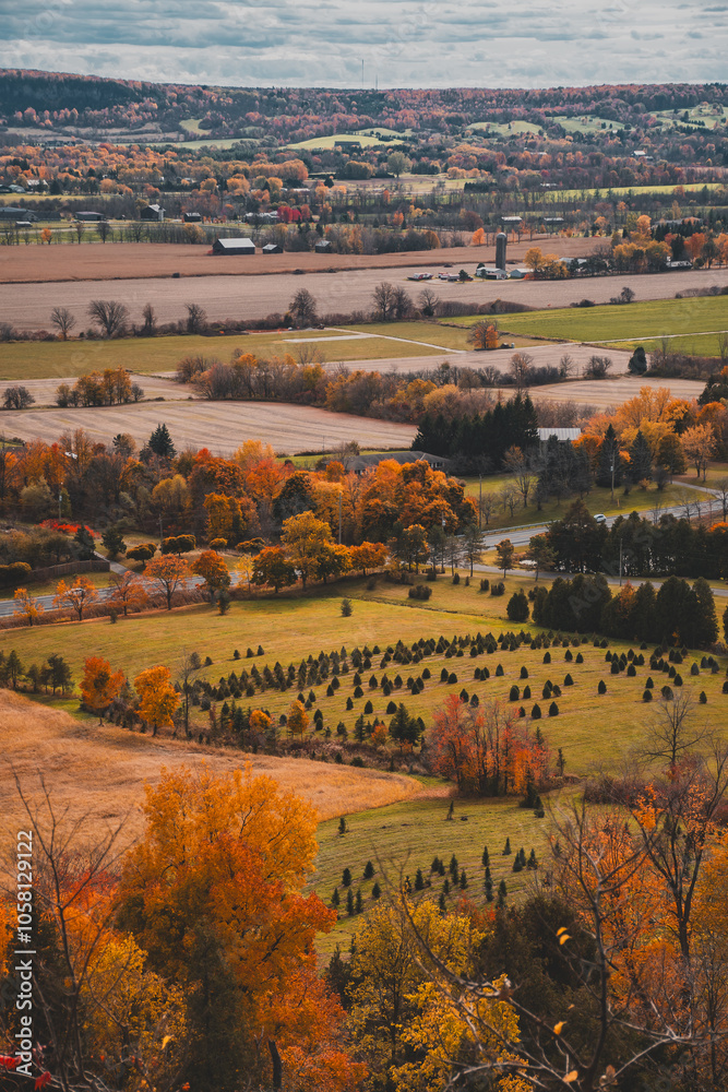 Naklejka premium Fall Season