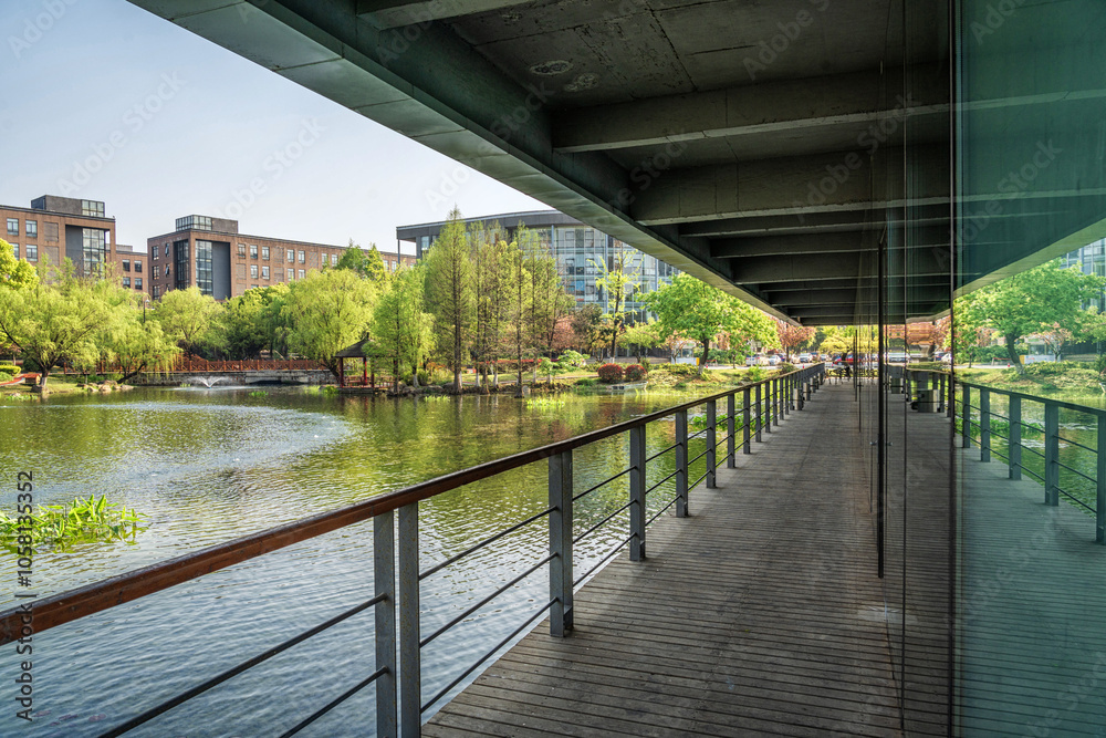 Urban Reflections: Glass Walkway Overlooking Park Urban Reflections: Glass Walkway Overlooking Park