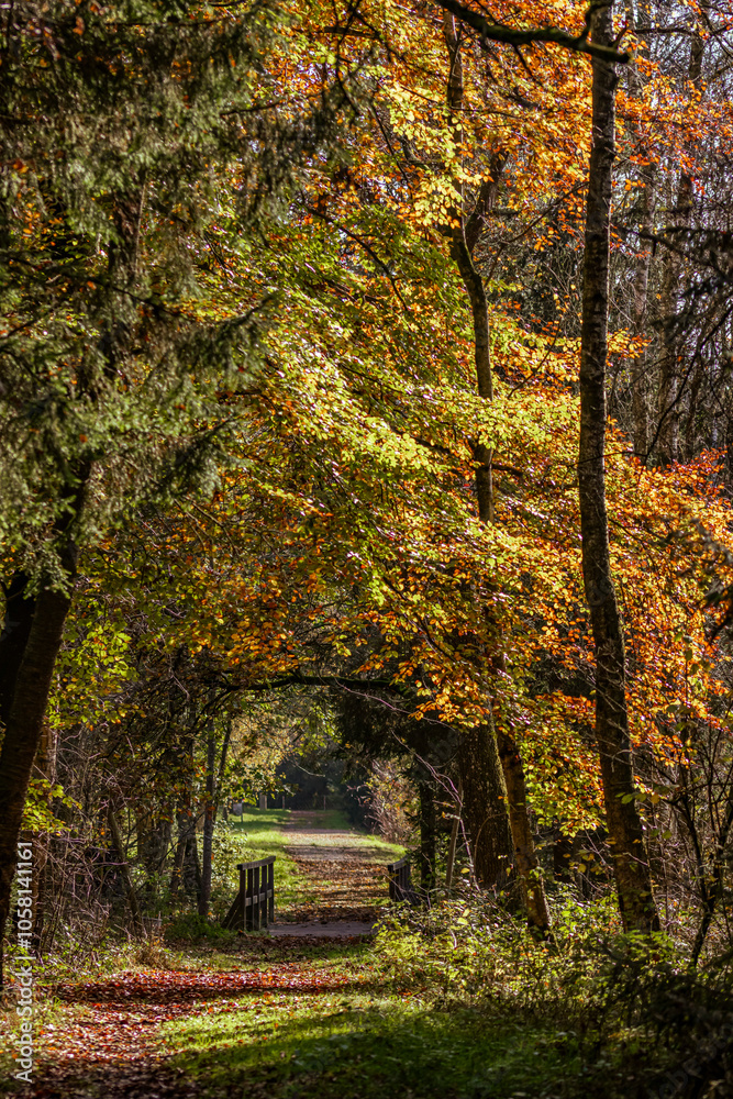 Herbstliches Foto von der Landschaft in Süddeutschland Herbstliches Foto von der Landschaft in Süddeutschland