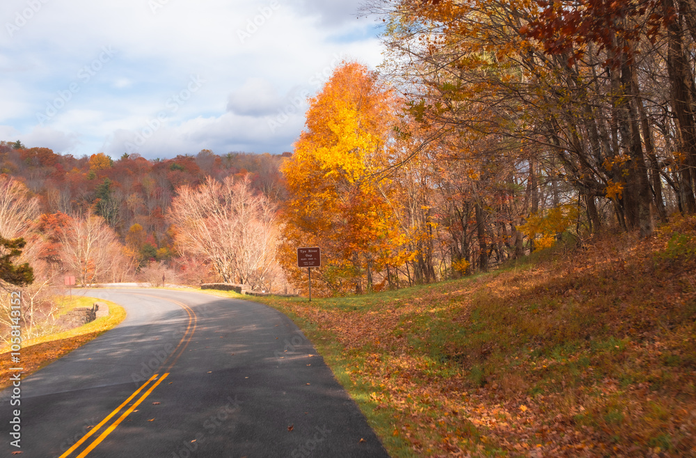 Fototapeta premium Blue Ridge Parkway Fall 2024