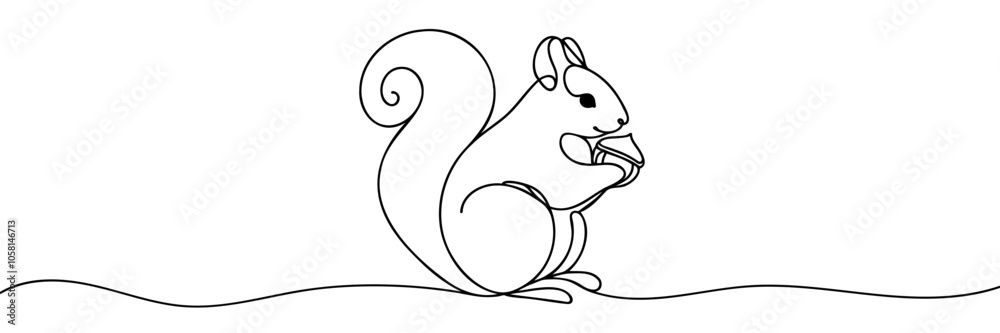 Continuous one line drawing squirrel sits eating nuts. Animals concept single line draw design graphic vector illustration Continuous one line drawing squirrel sits eating nuts. Animals concept single line draw design graphic vector illustration