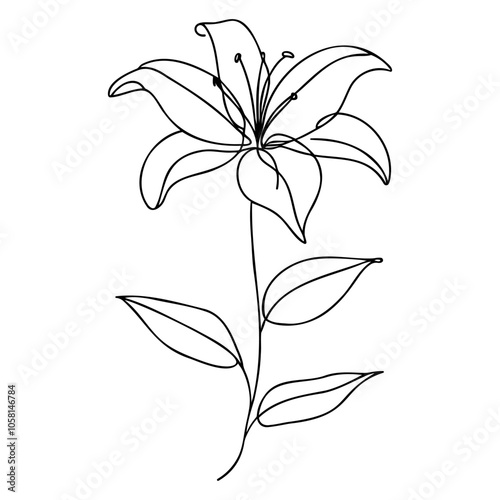 Lily flower Continuous one line drawing