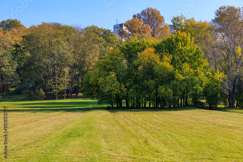 A field of grass with trees in the background