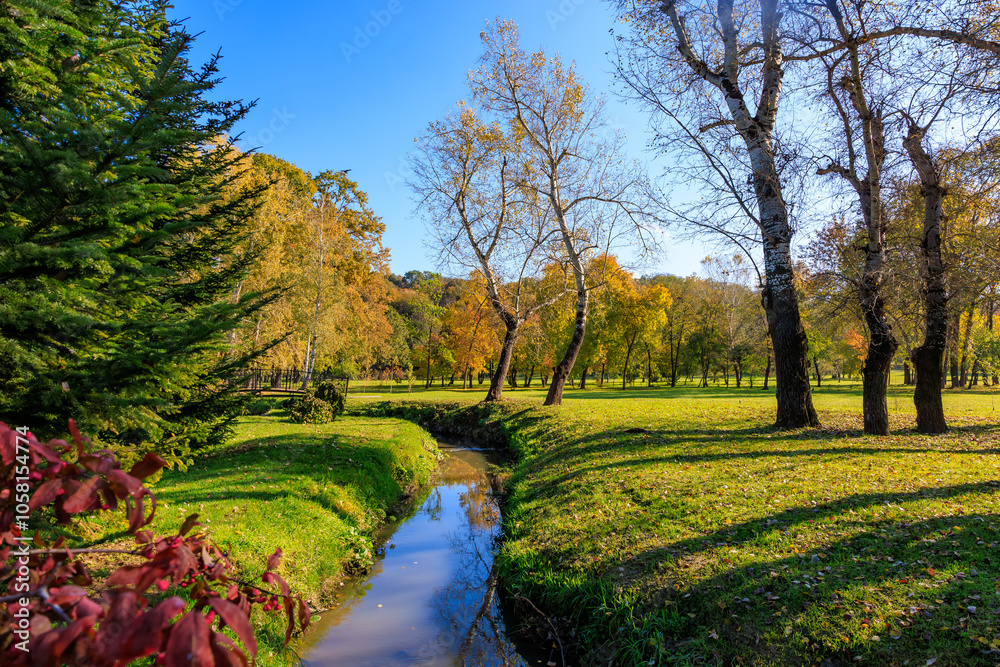 Naklejka premium A beautiful park with a stream running through it