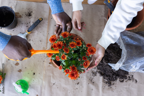 Planting vibrant flowers together, multiracial couple nurturing garden with care photo