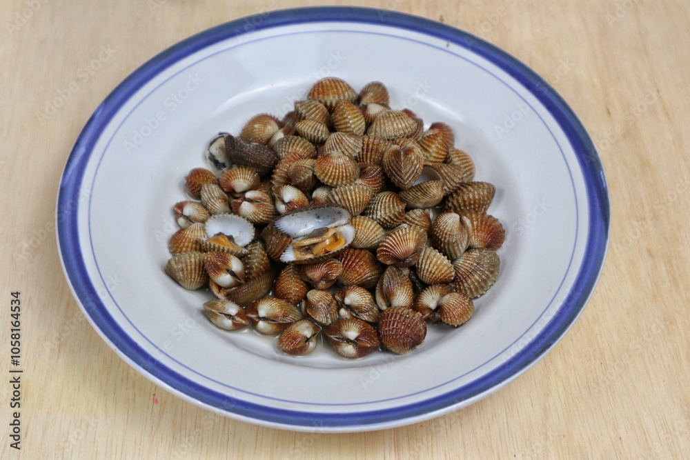 Fresh steamed clams, boiled clams served on a white plate with an easy seafood recipe menu, blood clams Fresh steamed clams, boiled clams served on a white plate with an easy seafood recipe menu, blood clams