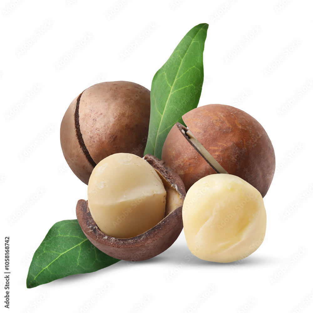 Macadamia nuts and green leaves on white background Macadamia nuts and green leaves on white background