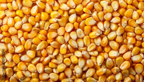 sweetcorn grains background, AI generated image