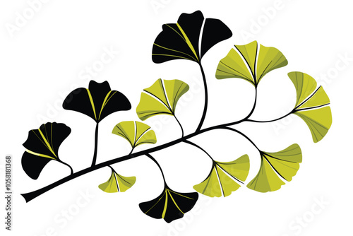 A branch with ginkgo biloba leaves B.eps