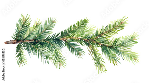 Wallpaper Mural Pine branch watercolor isolated illustration. green natural forest christmas tree. needles branches greenery hand drawn. holiday decor with fir branch. holiday celebration decoration for 2024 new ye Torontodigital.ca