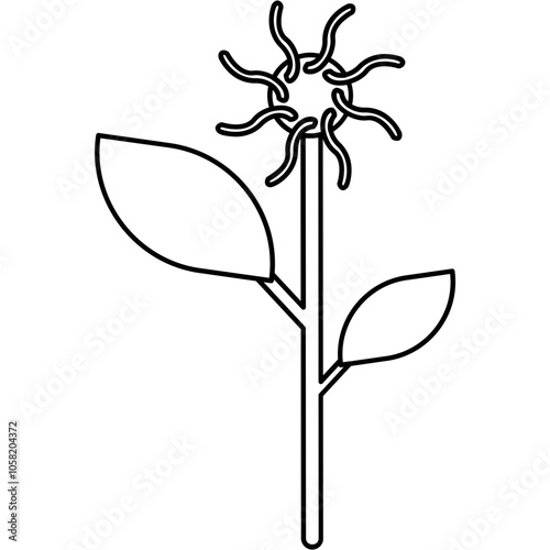 Witch Hazel Icon