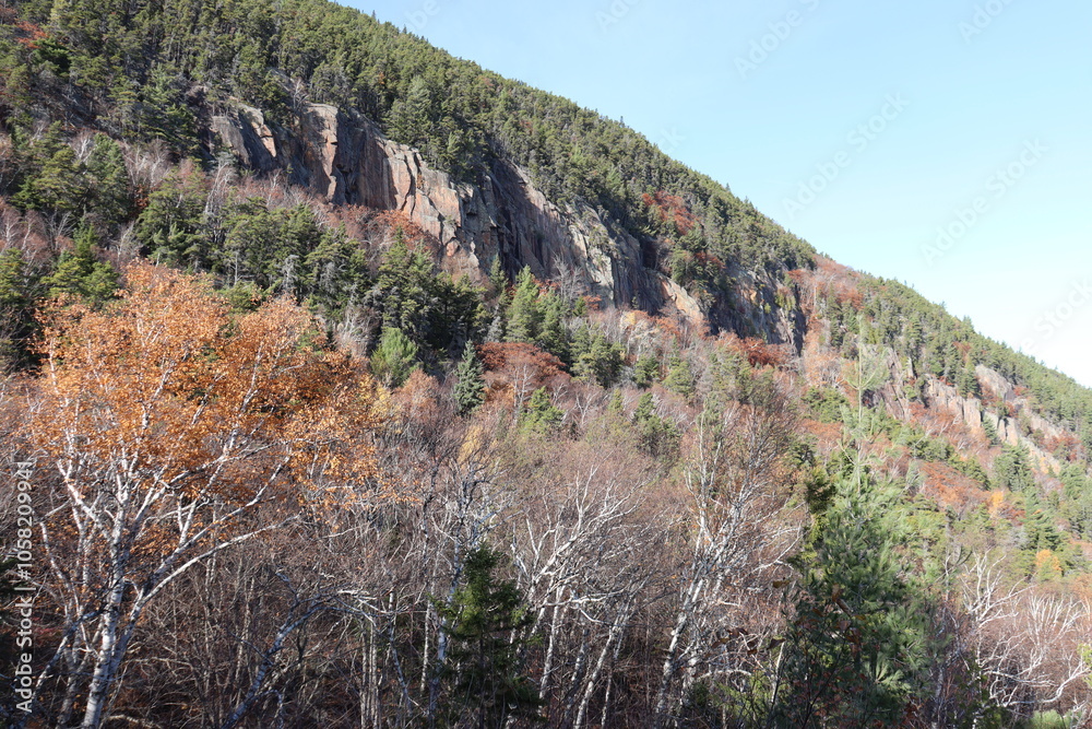 A cliff in autumn. Shelter for birds and geology in a park. Exploration and expedition in the Cap of Charlevoix in Quebec. Canada landscape and nature background. Rock in mountain and escalation. 
