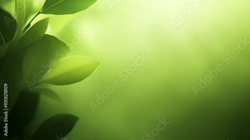 Green Leaves Abstract Nature Background - Soft Focus, Blurred