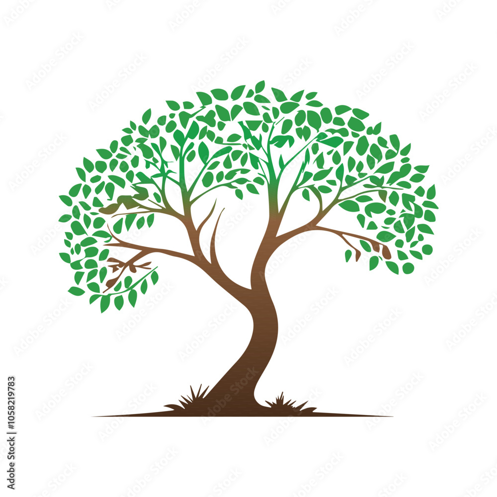 Fototapeta premium tree with roots
