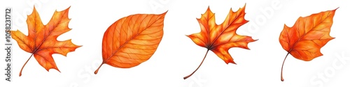 Watercolor Set of autumn leaves in vibrant orange colors on a white isolated background, showcasing nature's beauty and seasonal change.