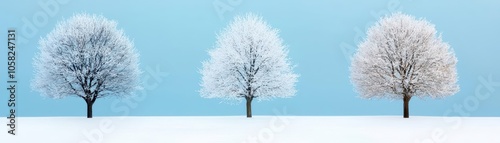 Snow-covered trees in the early morning light, crisp and fresh, winter crisp