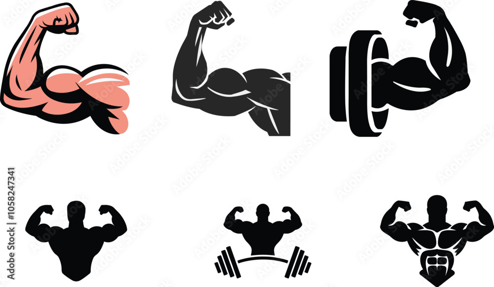 Muscles body vector illustration Muscles body vector illustration