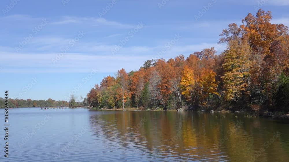 autumn trees in the park autumn trees in the park