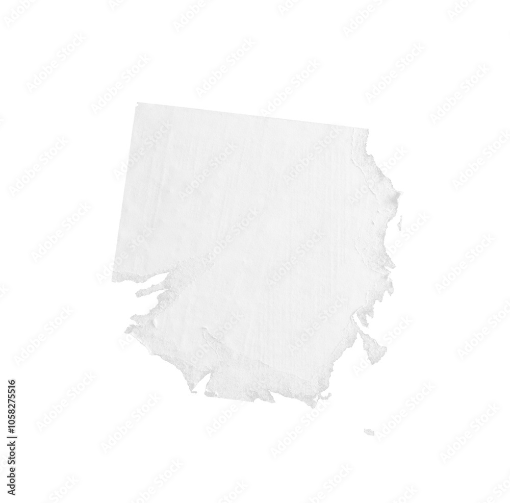 white torn paper isolated white torn paper isolated