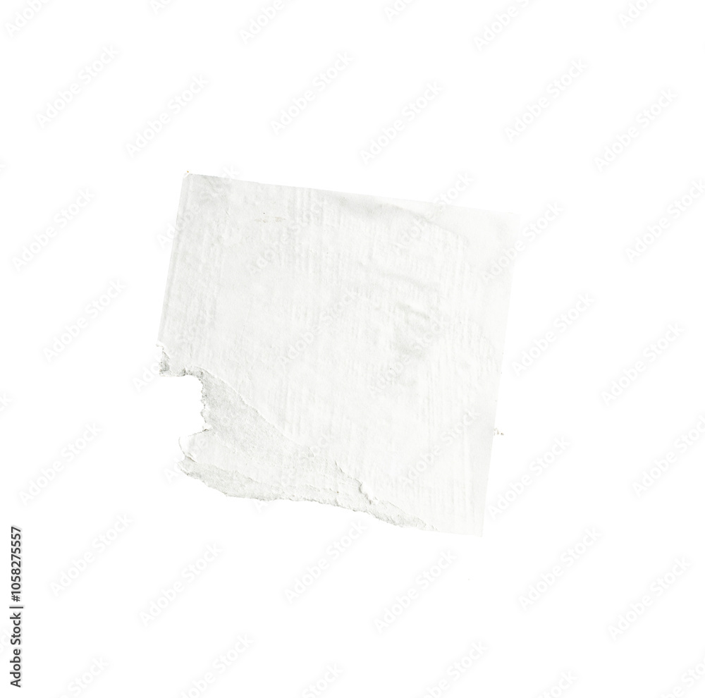 torn paper isolated torn paper isolated