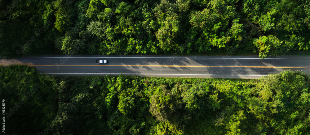 Adventure morning road trip in the forest, electric vehicle driving on asphalt road through green forest. Adventure morning road trip in the forest, electric vehicle driving on asphalt road through green forest.