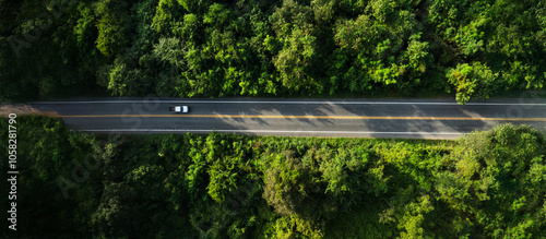 Adventure morning road trip in the forest, electric vehicle driving on asphalt road through green forest.