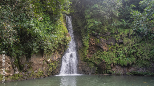Fototapeta Naklejka Na Ścianę i Meble -  A picturesque tropical waterfall. Streams of water fall from a sheer cliff into the lake. Lush green vegetation on the slope. Mauritius. La Vallée Des Couleurs Nature Park