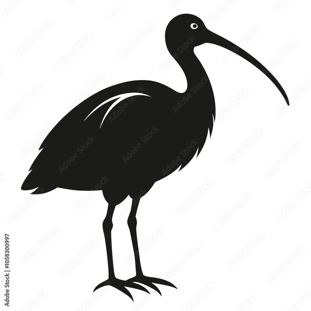 ibis-a-silhouette-vector-with-white-background ibis-a-silhouette-vector-with-white-background