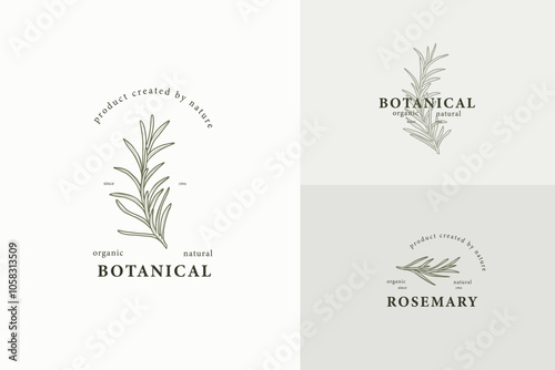 Line art rosemary branch logotypes