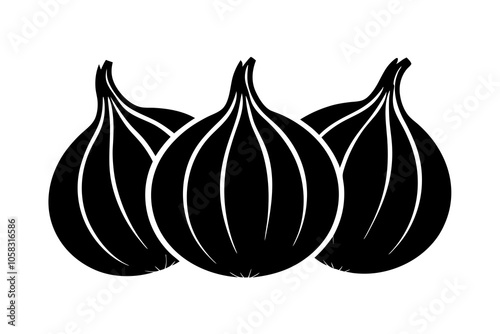 set of onion vector art 