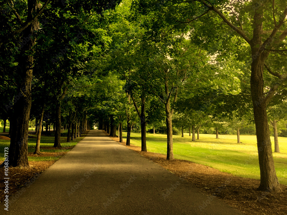 Green treelined road vanishing into the distance Green treelined road vanishing into the distance