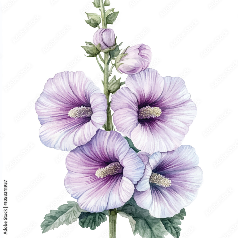 Hollyhock flower watercolor clipart illustration isolated Hollyhock flower watercolor clipart illustration isolated