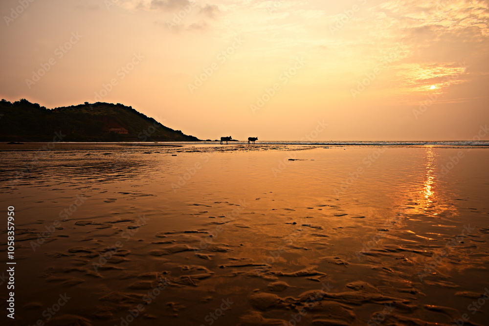 Sunset Escape at Gokarna Beach